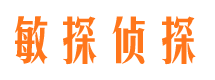 柳河调查事务所